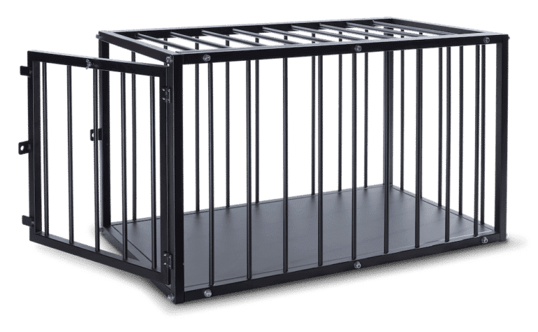 Standard cage bdsm